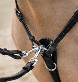Bridles & Reins